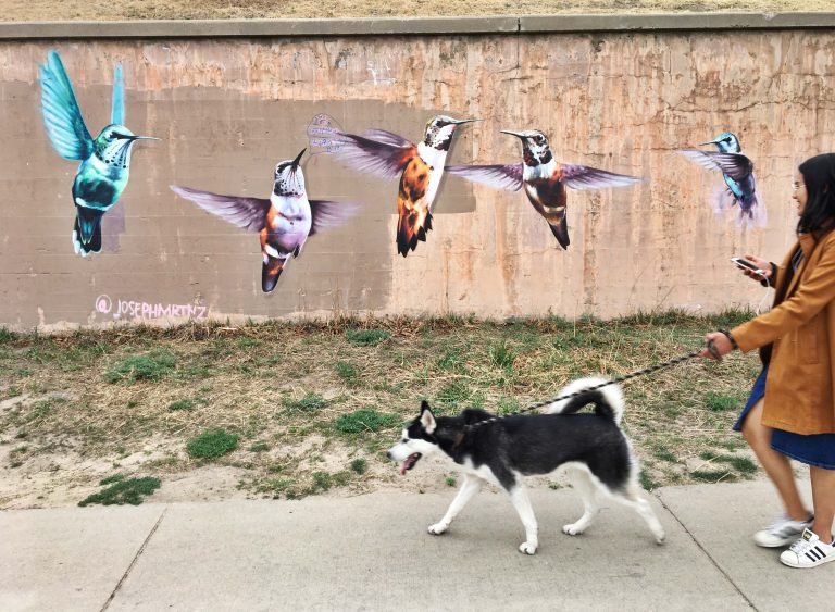 Hummingbirds mural by Joseph Martinez along Cherry Creek Trail in Denver