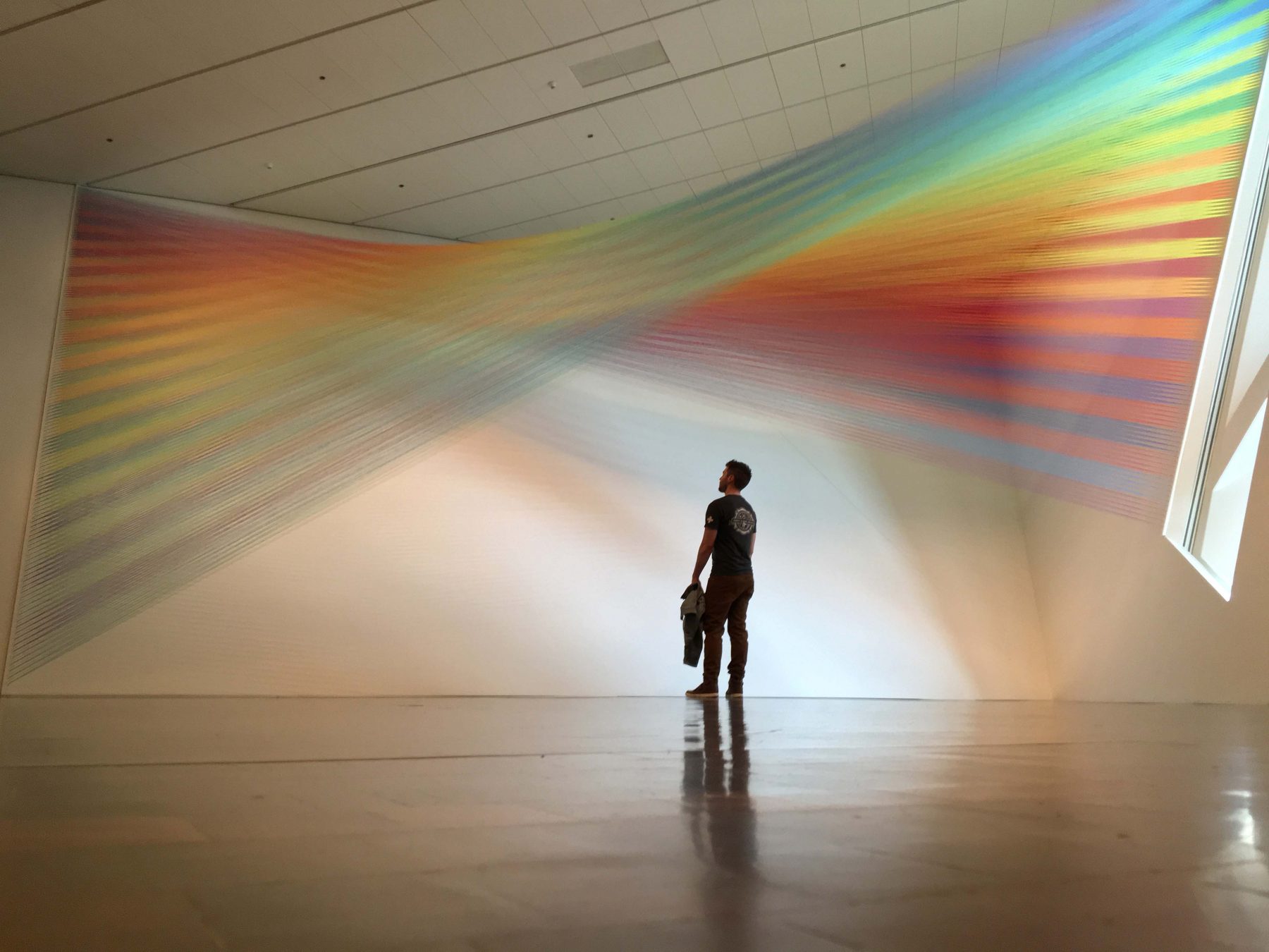 David Brookton Observes Plexus 36 at Denver Art Museum by Gabriel Dawe